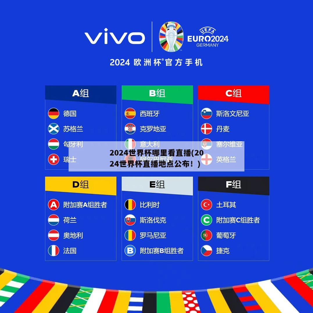 2024世界杯哪里看直播(2024世界杯直播地点公布！)